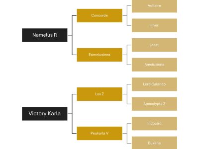 Schoolmaster en jumping, jument de 14 ans - Happines of Karla V
