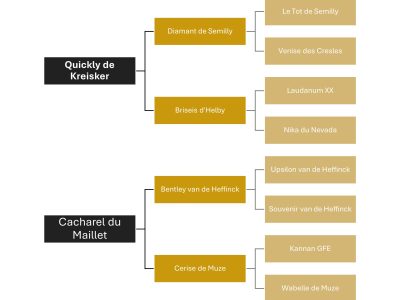 Action, puissance et souplesse