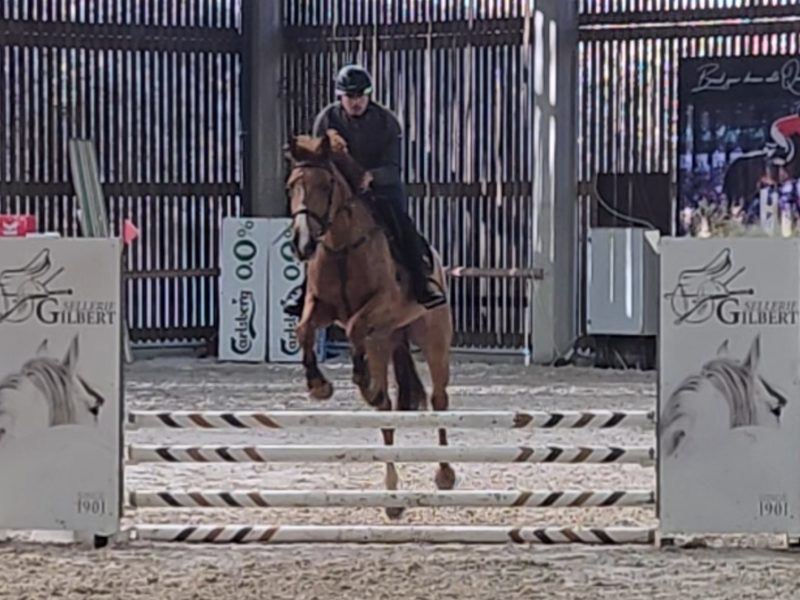 Jument prometteuse avec une excellente attitude - Winnie van het Waterblok