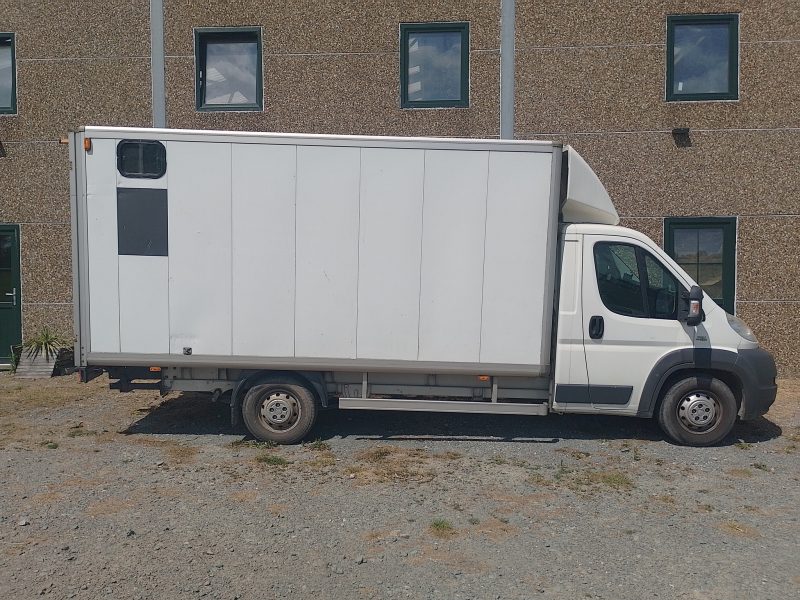 Camionette 2 chevaux - Fiat Ducato 2.3