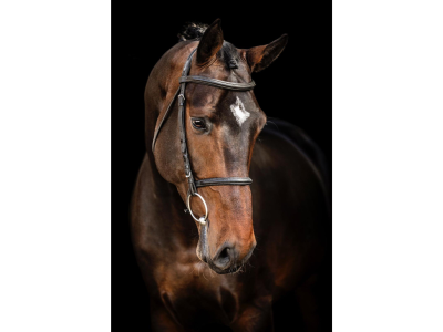 Excellence, harmonie, fiabilité