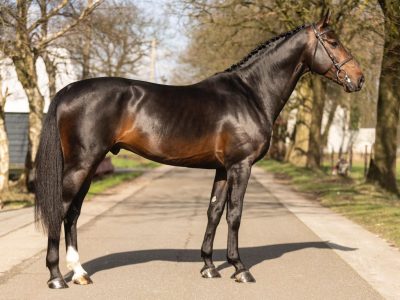 Excellence, harmonie, fiabilité