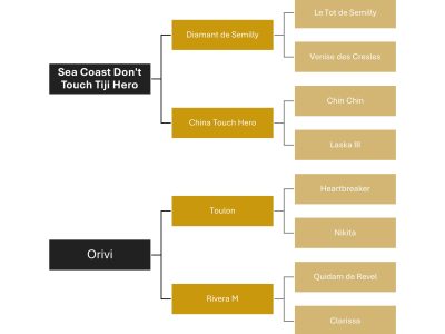Modernité, élégance et technique