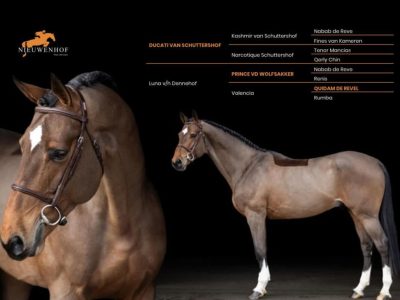 Héritage, puissance, volonté