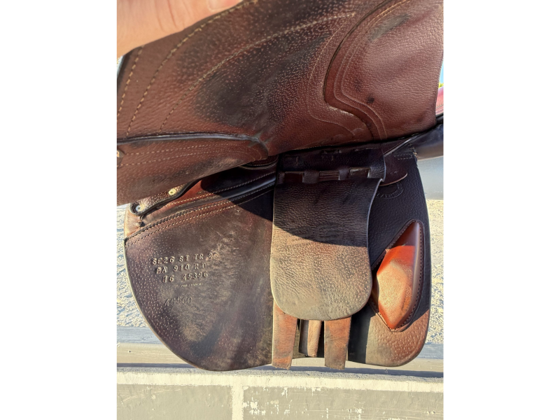 Selle d'obstacle - CWD 2Gs