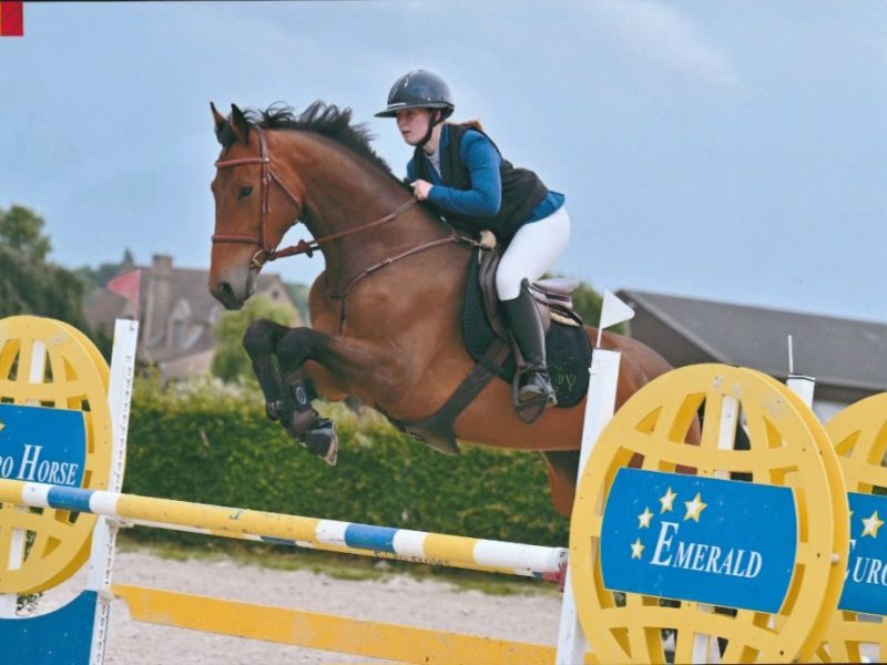 Hongre gentil & prometteur de 6 ans, jumping - Chelissimo Z