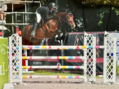 Superbe hongre de 8 ans - Call Me Aerebeekhoeve Z