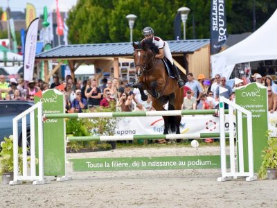 Superbe hongre de 8 ans - Call Me Aerebeekhoeve Z