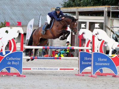 Superbe hongre de 8 ans - Call Me Aerebeekhoeve Z