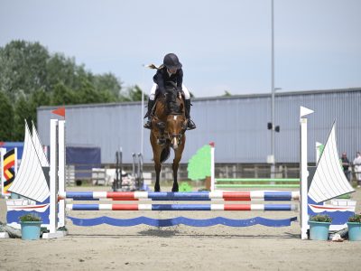Hongre de 4 ans avec potentiel en CSO - Iron Man D'Aubry