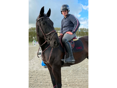 Superbe hongre de 10 ans - Question Mark Oudenhove