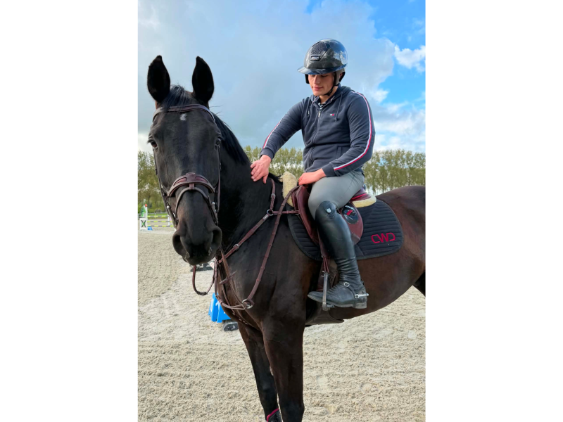Superbe hongre de 10 ans - Question Mark Oudenhove
