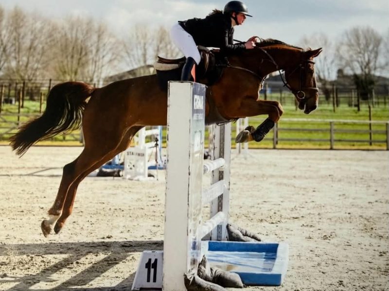 Cavalier / Groom recherche emploi à temps plein