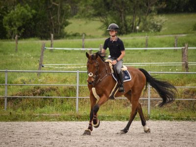 Hongre de 6 ans avec des moyens - Krapuul De La Pistole