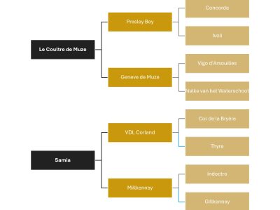 Jument de concours avec du sang - Quickly