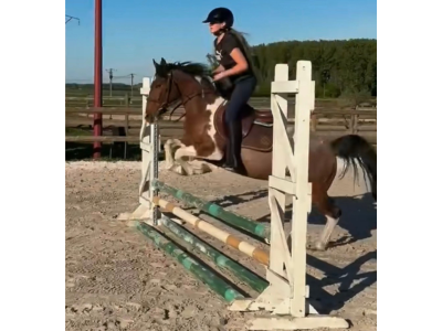 Super poney de 3 ans, jument 1m30 - Ginger