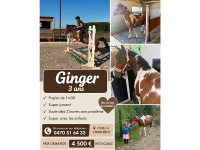 Super poney de 3 ans, jument 1m30 - Ginger