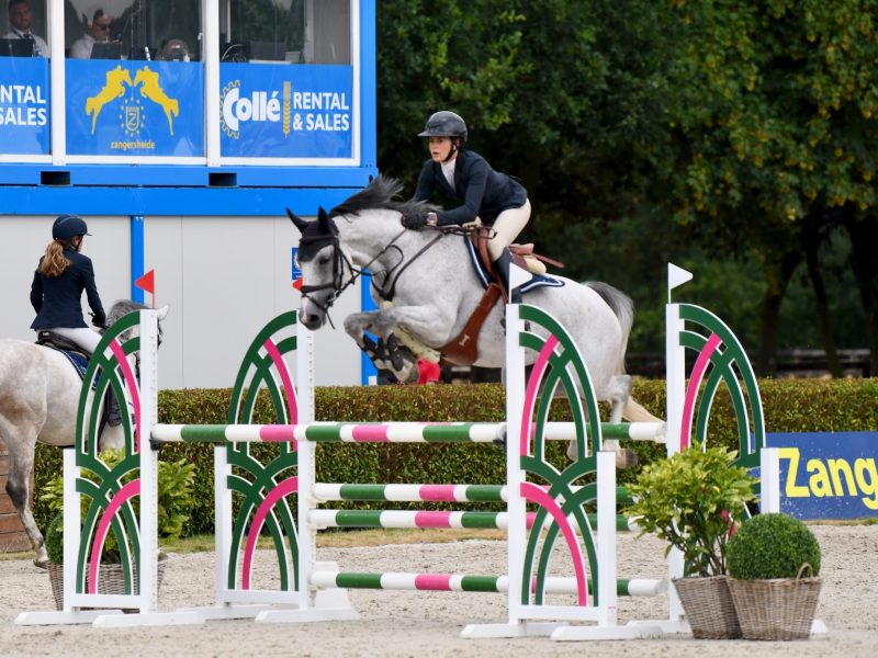 ‼️SOLD‼️ Jument de 5 ans (Kasanova de la Pomme x Cicero Z) - Kascha de Laubry Z