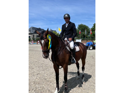 Jument 12 ans, idéale pour amateur - Jarena WD