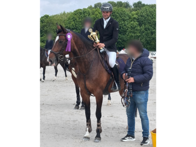 Jument 12 ans, idéale pour amateur - Jarena WD