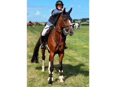 ‼️SOLD‼️ Jument polyvalente de 10 ans à vendre - Quelsy van de Zeept