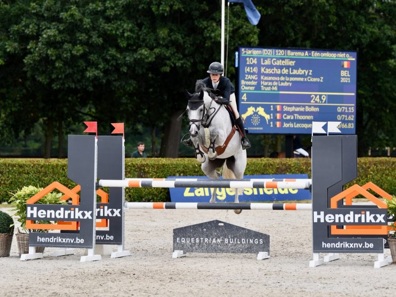 ‼️SOLD‼️ Jument de 5 ans (Kasanova de la Pomme x Cicero Z) - Kascha de Laubry Z