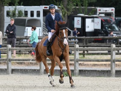 Jumping / Hunter prospect par Untouchable 27 x Ogano Sitte - Pheonix With Love D&F