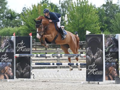 Jumping / Hunter prospect par Untouchable 27 x Ogano Sitte - Pheonix With Love D&F