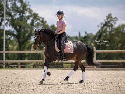 Poney de dressage à vendre - Cali
