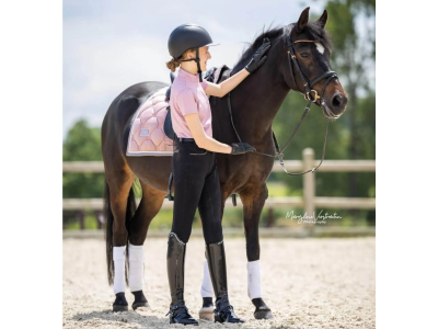 Poney de dressage à vendre - Cali