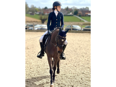 Poney de dressage à vendre - Cali