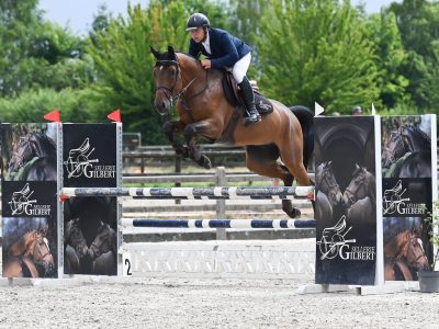 Facile hongre de 5 ans, Pegase Van 't Ruytershof x Burggraaf - Paxx d'Airsain