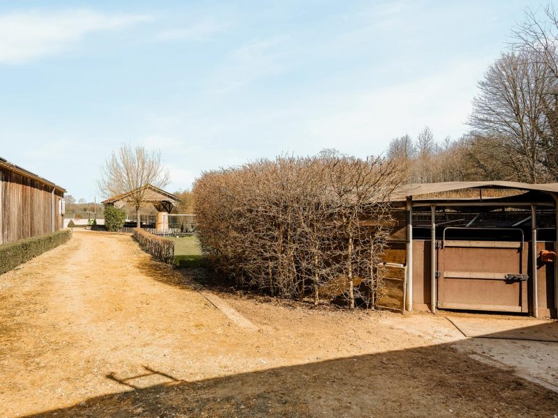 Magnifique propriété équestre avec vaste villa rénovée - Région Nivelles (Belgique)