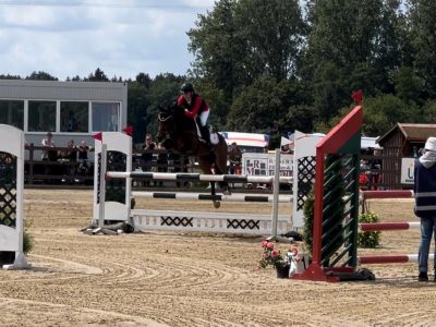 Superbe Poney 2* eventing - Kinou Des Marroniers