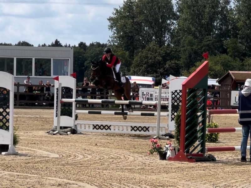 Superbe Poney 2* eventing - Kinou Des Marroniers